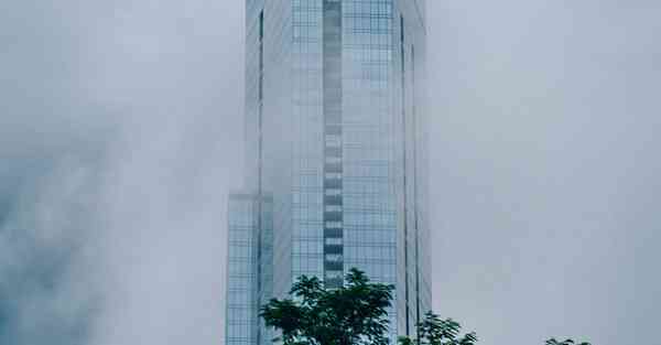 大力发展智能机器人辩论