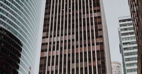 缤智人工智能机器人