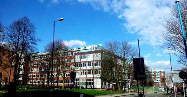 缤智人工智能机器人