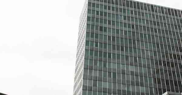 AI绘画技术发展趋势（AI绘画软件哪个好用）