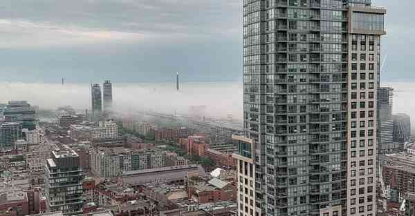 生信大数据平台