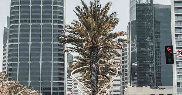 人工智能机器人和人谈恋爱