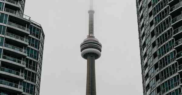 人工智能机器人和人谈恋爱