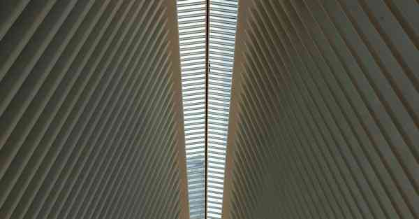 大力发展智能机器人辩论