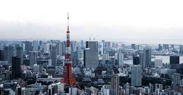 大力发展智能机器人辩论