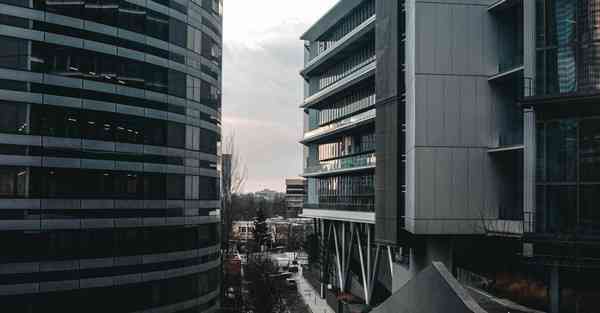 缤智人工智能机器人