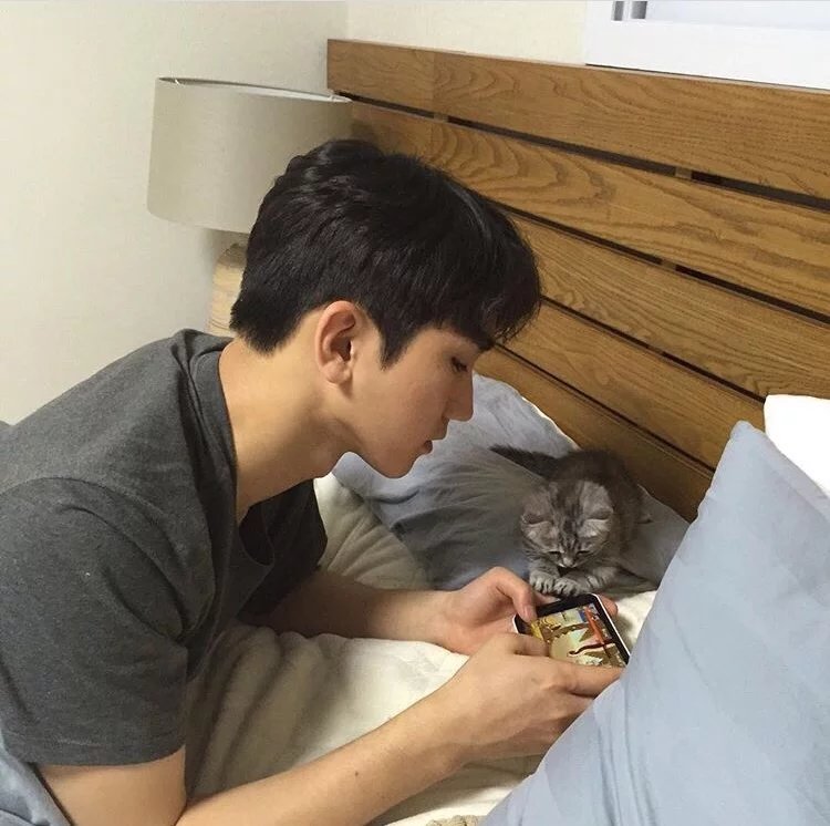 柴生若堂