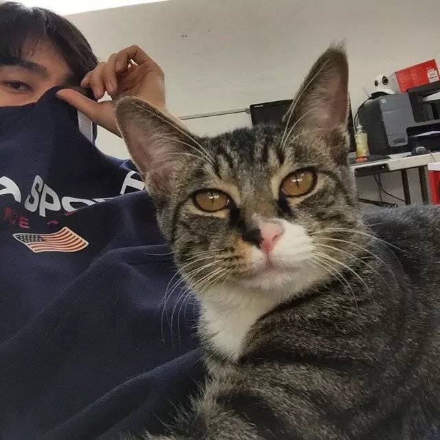 贺兰娜月
