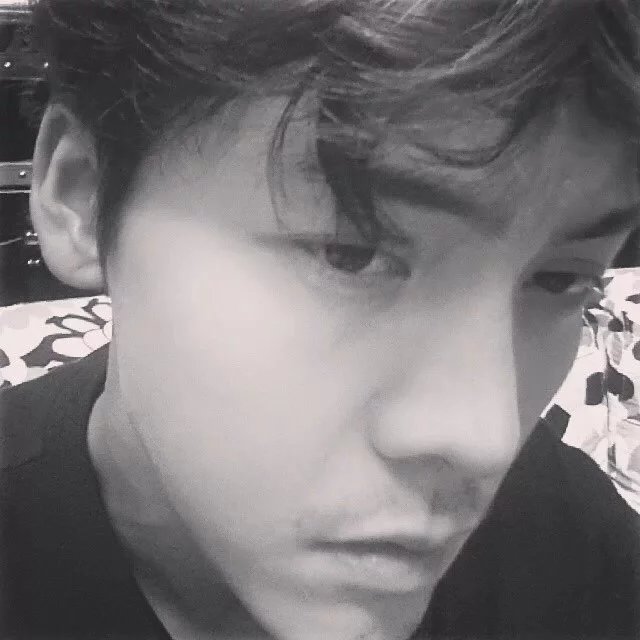 鲁勇程辉