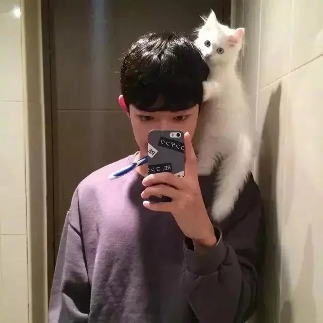 诸葛荷苑奇