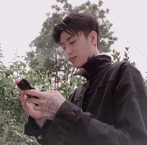 叶馨天环