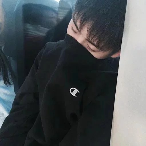 鲍固绍顺