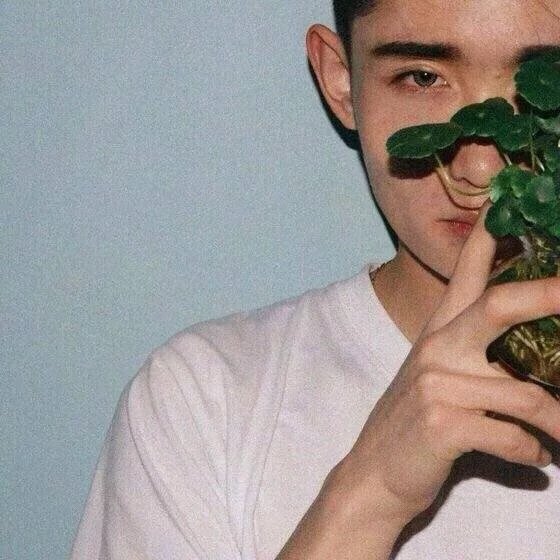 文世蕊菲