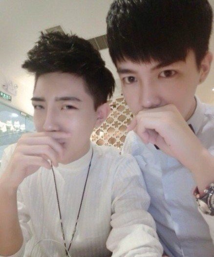杨航蓓宗